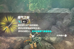 王国之泪瘴气之剑获取方式介绍