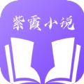 紫霞小说app最新版