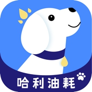 哈利油耗app