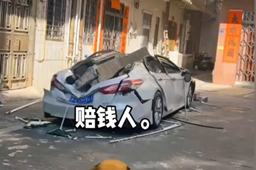 脆脆鲨大学生梗介绍