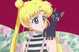 王者荣耀王昭君美少女战士皮肤价格介绍