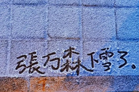 张万森emo文案最新汇总