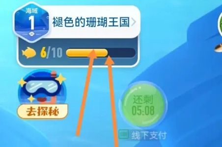 神奇海洋今日答案大全2023今日答案