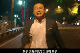 燕子没有你我可怎么活意思介绍