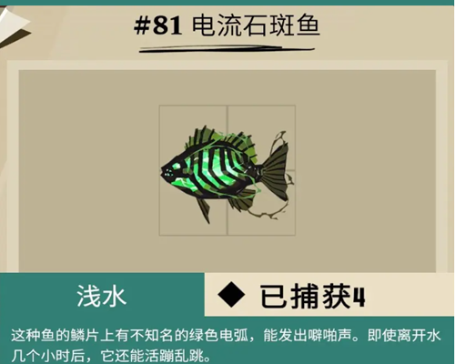 渔帆暗涌黑鲉位置介绍