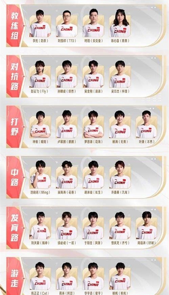 王者荣耀国家集训队名单公布，多名战队主力队员入选