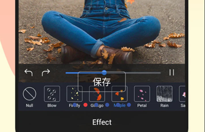 PicMotion app安卓版