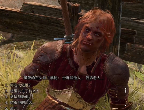 博德之门3九指和石头领主选择推荐