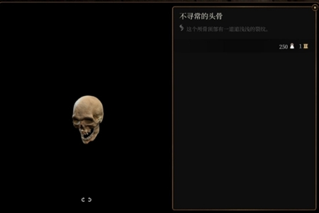 博德之门3不寻常的头骨谜语介绍