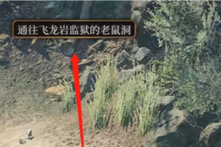 博德之门3不寻常的头骨谜语介绍