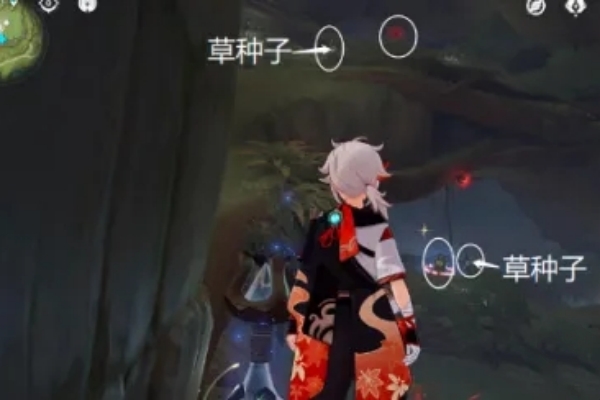 原神静态风景9号宝箱开箱攻略