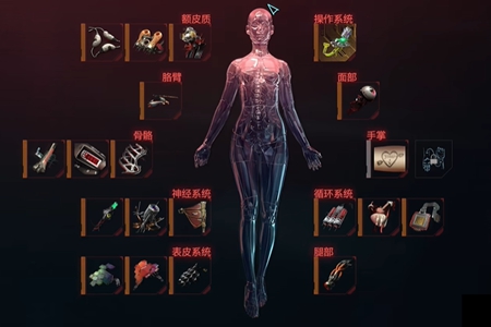 赛博朋克20772.0刀剑流义体推荐