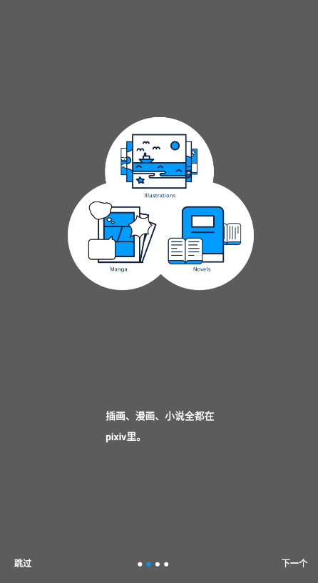 p站网页版进入地址分享