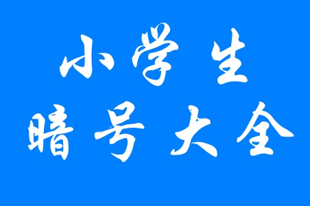 小学生暗号2023最新汇总