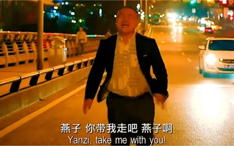 燕子没有你我可怎么活表情包gif动态图一览