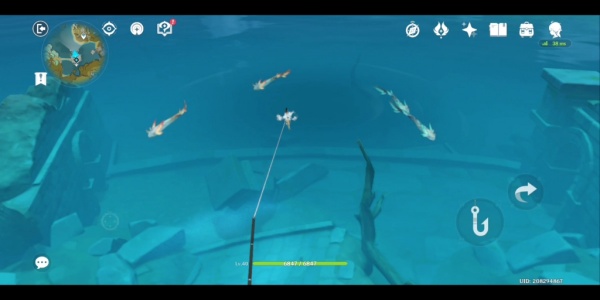 金赤假龙每日钓取上限介绍