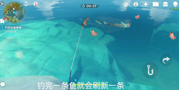 锖假龙每日可钓数量介绍