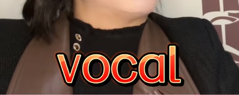 vocal网络用语梗意思介绍