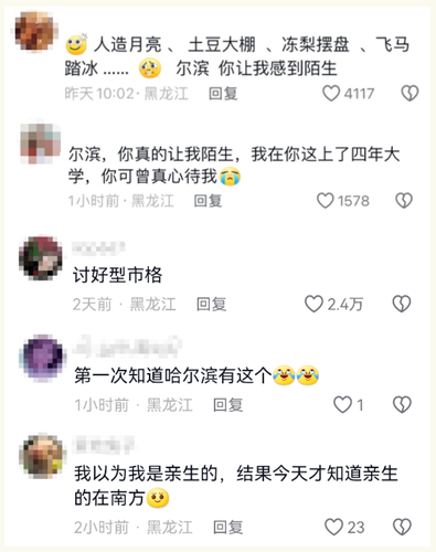 尔滨你让我感到陌生意思介绍