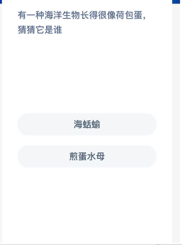 神奇海洋今日答案最新2024.1.19