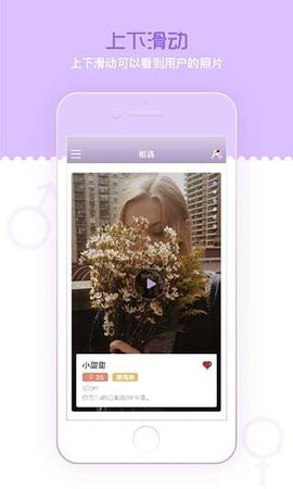 香芋壁纸app最新版